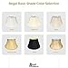 Royal Designs Shallow Drum Bell Billiotte Lamp Shade, Eggshell, 13 x 19 x 11.26 (BS-711-19EG)