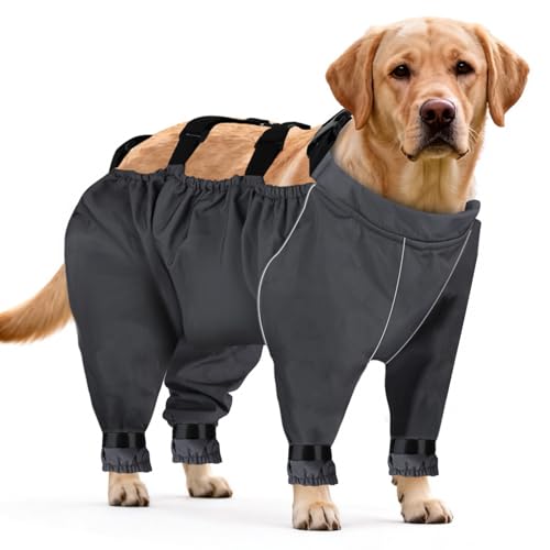 Dog Snow Pants, Anti Dirt Pants for Dogs,Dog Snowsuit with Out Boots, Adjustable Suspender Boots for Outdoor Walking & Paw Protectors