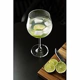 Bohemia CJ 6 TAÇAS CRISTAL ECOLÓGICO P/GIN GASTRO/COLIBRI 570ml