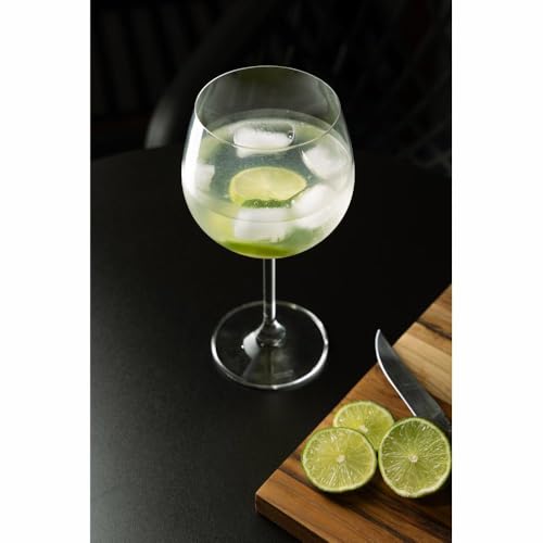 Bohemia CJ 6 TAÇAS CRISTAL ECOLÓGICO P/GIN GASTRO/COLIBRI 570ml