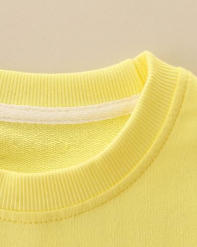 Baby Girls Cute Little Rabbit Embroidered Sweater Round Neck Long Sleeve Pullover Top4