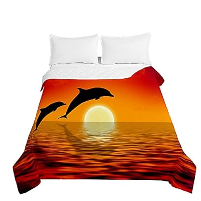 Surwin Tagesdecke Bettüberwurf Steppdecke für Doppelbett Einzelbett, Mikrofaser Wattiert Gesteppt Bettdecke 3D Delphin Tierdruck Dünne Tagesdecken mit Ultraschall Prägung (Sonnenaufgang,200x230cm)