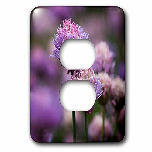 Tapones de enchufe 3D Rose LSP_251353_6 multicolor con diseño de chives 2
