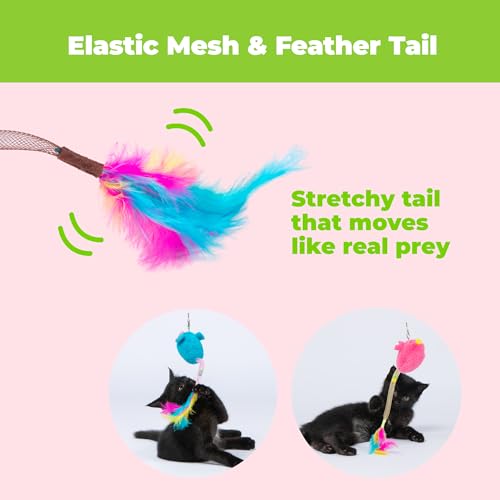 Image of Catify Best Pet Supplies Interactive Squeak Mice - Tap-Activated Realistic Mouse Cat Toy Catnip-Infused, Elastic Mesh & Feathered Tail With Realistic Squeaks For Indoor Cats & Kittens - Blue & Fuchsia