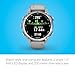 Garmin Descent Mk3 Watch Style-Dive Computer, 43mm, Steel with Fog Gray Band