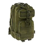 Badger outdoor