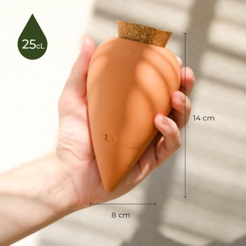 Olla Terre Cuite Pepin : Éco-irrigation pour plantes intérieures/extérieures Olla Terre Cuite Pepin : Éco-irrigation pour plantes intérieures/extérieures