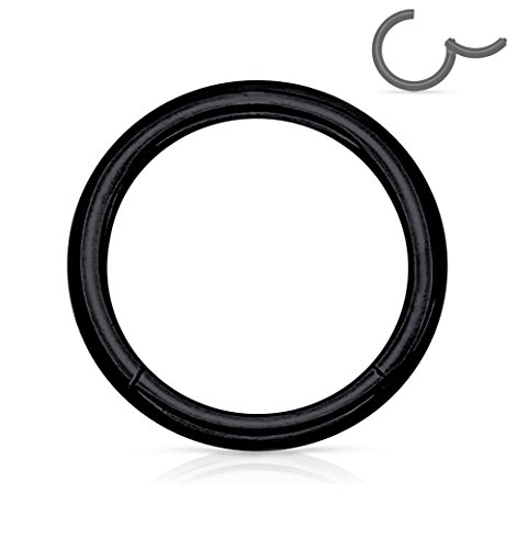 Forbidden Body Jewelry 316L Surgical Steel Hinged Seamless Nose Rings Hoop 14G 16G 18G, Diameter 6mm 8mm 10mm 12mm, Gold/Rose Gold/Silver/Black/Rainbow Colors.