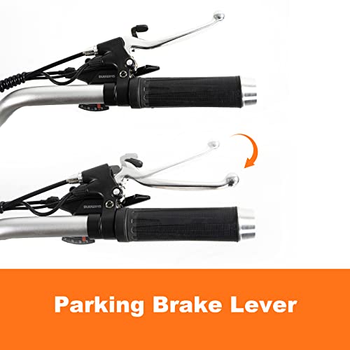 DWMEIGI Adult Electric Tricycle 3 Wheel Electric Bike with 24 Inch Wheel,Low Step-Through Frame with Removable 36V13AH Lithium Battery, Cargo Basket (Blue)