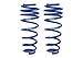 Roush Performance 401295 Rear Coil Spring