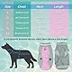 Hundekühlweste Geschirr, Reflektierende Hundekühlmantel, Sicherheit Sonnensicher Und Verdunstung Sumpf-Technologie Mit Verstellbaren Trägern Hund Jacke Für Kleine/Mittlere/Große Sommer Winter Tragen