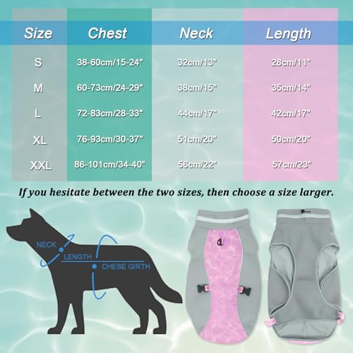 Sommer Hund Kühlweste Geschirr Atmungsaktive Mesh Hund Kühler Jacke Kühle Bequeme Hundemantel Einstellbar Mit Reflektierenden Streifen Für Kleine Mittlere Große Hunde Im Freien Laufen Wandern Klettern