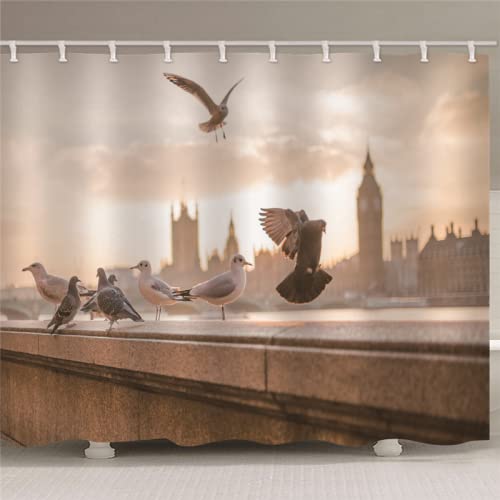 BOVZOX duschvorhang 120x180 Städte und Tauben Wasserdichter, Duschvorhang Badewanne, Waschbar Stoff Polyester Duschvorhänge mit 12 Duschvorhangringen, Beschwerter Saum