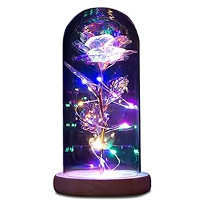NEWX Birthday Gifts for Women Mom,Valentine Gifts for Her,Forever Galaxy Lighted Up Rose,Preserved Colorful Artificial Flowers,1 Rainbow Beauty Beast Glass Rose in Glass Dome for Anniversary