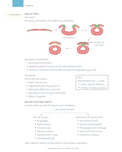 Image of MARROW REVICION NOTES (Rapid) ALL - 19 SUBJECT & FULLY COLOR WITH SPIRAL BINDING 2023-24, 1 JANUARY 2024