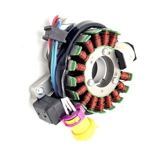 Plaque magnétique de stator quad JS250 Ji BA Lo 250cc ATV