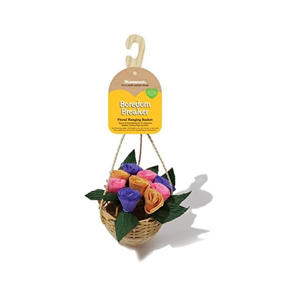 Rosewood Boredom Breaker Blumenampel, Spielzeug für kleine Tiere