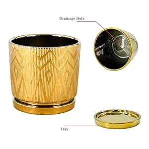 Ton Sin Gold Plant Pots55 Inch Flower Pots with Drainage HolesRound Indoor Pot for Plants Ceramic Planters with SaucerOutdoor Garden Pots