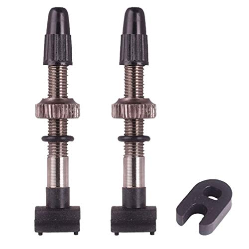 wivarra 2PCS Bicycle Tubeless Tire Presta Valve 60mm Alloy Stem Brass Core for Mountain Road Bikes with Cap & Tool