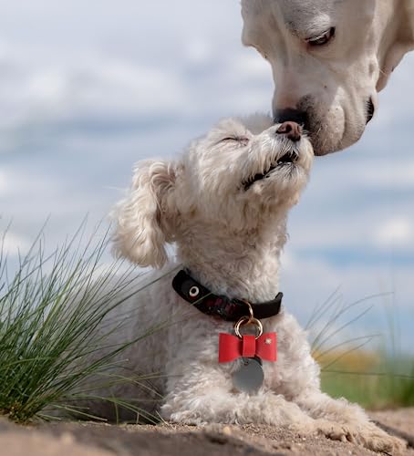 Culacos Papillon in Pelle Fatto a Mano con Fiocco