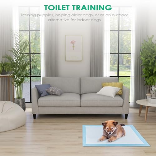Tekenewbse 100 Stück Pipi Matten für Hunde, 33 × 45 cm Trainingspads, Wickelunterlagen Einweg Einmalunterlagen, Pinkelmatte Training Auslaufsicheres 5-Lagiges Design mit Schnell Trocknender Oberfläche