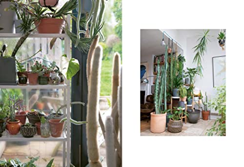 Bloomsbury The Plant Rescuer: The book your houseplants want you to read