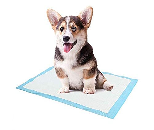 woofy Woofy Dog Training Pads/Training Pee and Potty Pads with Quick Drying Surface and Absorbent Core/Suitable for Small/Large Breed PUPPIES/100 Count/Size: XL/L-60 cm X H- 90 cm (100 pcs), blue (B09D8YBXFJ) Amazon Price History, Amazon Price Tracker