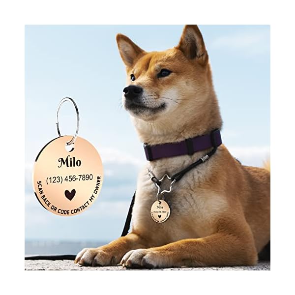 MYLUCKYTAG Personalized Pet ID Tags Dog Tags – Stainless Steel QR Code ID Tags – Pet Online Profile – Send Pet Location Alert Email When Scanning MYLUCKYTAG Personalized Pet ID Tags Dog Tags – Stainless Steel QR Code ID Tags – Pet Online Profile – Send Pet Location Alert Email When Scanning