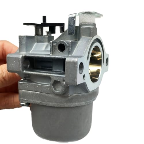 LIZAPUS Carburetor Carb Compatible with Briggs 592224 592226 592953 593003 593028 593432 Replacement Part
