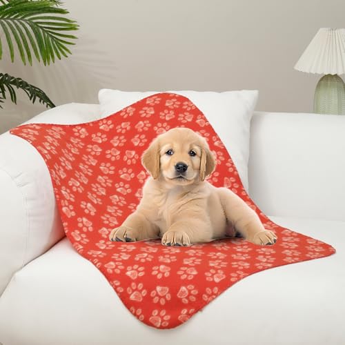CAI TENG 3 Pack Pet Blankets for Small Dogs Dog Blanket Cat 21x30 Inch Soft Pet Fleece Blanket Warm Puppy Essentials for Bed Cute Paw Printed Throw Dog Red by CAI TENG - Used condition - Image 8