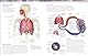 The Human Body Colouring Book: The Ultimate Anatomy Study Guide (DK Human Body Guides)
