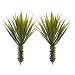 Nearly Natural 6159-S2 Spiky Agave Succulent Plant (Set of 2), 2 Piece