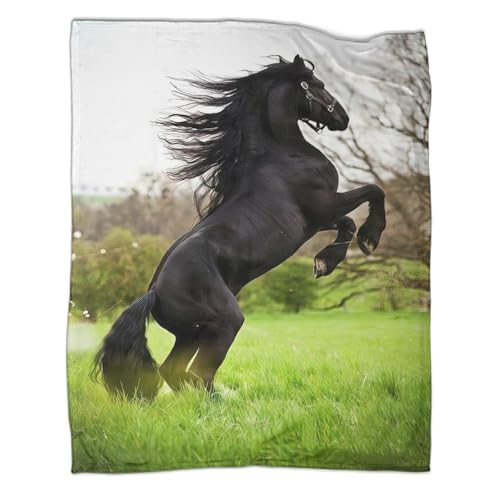 Plaid de voyage microfibre haut de gamme imprimé cheval 3D