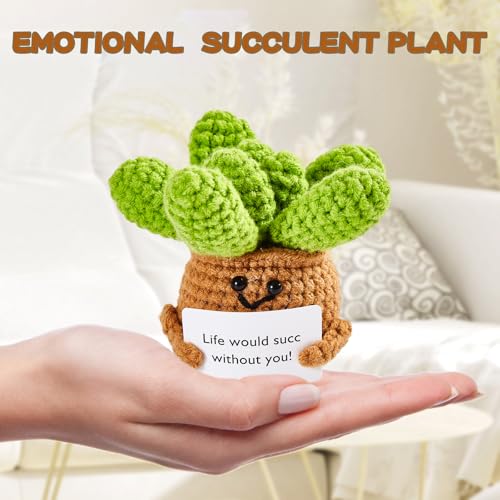 Image of Hoedia Handmade Emotional Pickle Gift, Cucumber Crochet Doll Inspirational Gifts with Cards, Cute Knitted Funny Support Pickle Potato Friend Birthday (Positive Succulent)