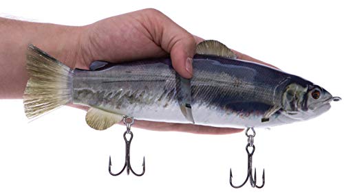 glide baits for bass