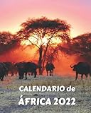  Calendario de África 2022: Calendario de Regalo con Imágenes de Paisajes Africanos