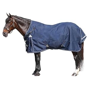 Challenger II Senior Adjusta-Fit Surcingle Horse Turnout Blanket | Wither Relief | Waterproof Horse Blanket | 1200D Ripstop | Winter Horse Blanket