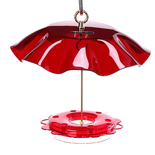 Birds Choice 10 oz Hummingbird Feeder with Ant Moat