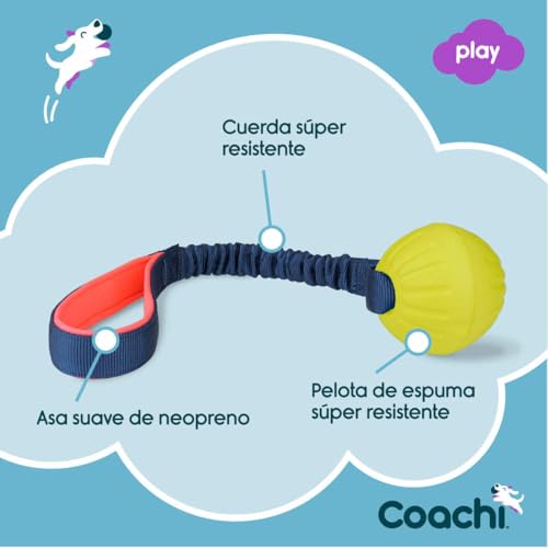 Coachi Tuggi Ball, Robustes Design, leicht, sicher, dehnbarer Bungee-Griff, ideal für alle Hunde & Welpen, Belohnungstraining, Rückruftraining, Unterbinden von Beißen & Kauen. Ideal für Agility.