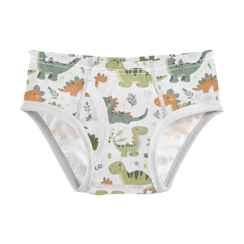 Dinosaurs Cute Boys' Underwear 100% Cotton Boys' Briefs Soft Toddler Underwear