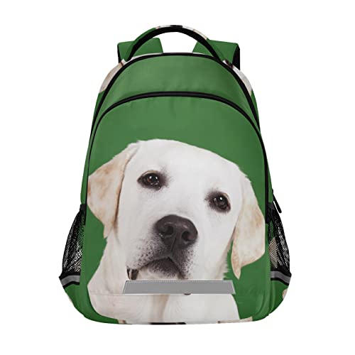 Labrador Retriever Dog Backpacks Travel Laptop Daypack School Book Bag for Men Women Teens Kids