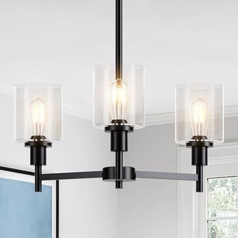 GAOMON Black Chandelier with Glass Shades Cover