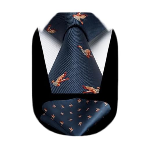 HISDERN Aves Boda Fiesta Empate Panuelo Hombres Corbata & Panuelo de bolsillo Conjunto