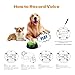 ipawspace Voice Recording Button, Dog Buttons for Communication Pet Training Buzzer, 30 Second Record & Playback, Dog Talking Buttons Set 4 Pack with Stickers