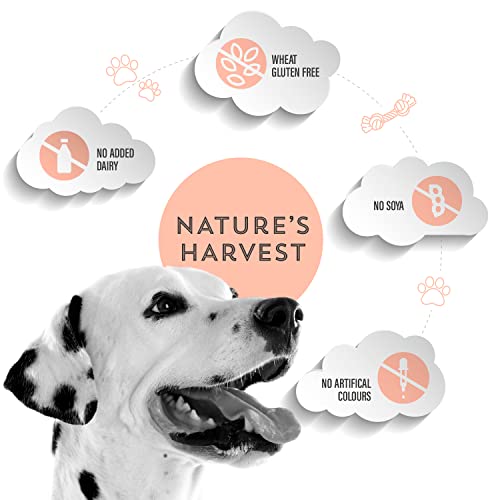 Natures Harvest Complete Hypoallergenic Dog Food â Lachs- und Süßkartoffel-Freefoods©©für wählerische Esser und Hunde mit empfindlichen Mägen | 10x395g | Allergiefreies Hundefutter
