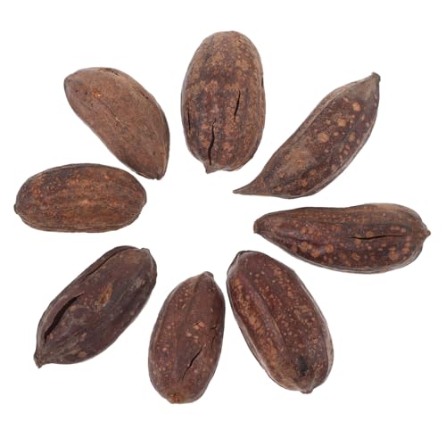 SEWOART Parrot Chew Toys 8pcs Dried Fruit Ornaments Bird Shredding Toys for Foraging Pet Bird Cage Decorations