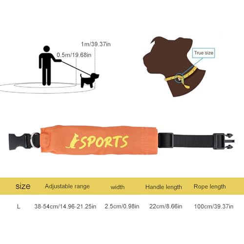 Hundehalsband, Hundehalsband und Leine, Set- Leine und Halsband 2- in- 1- Verstellbares Auspuffgeschirr für die Kontrolle von Bellen, Wandern im Betrieb Imp-4