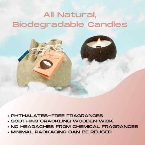 Bougie de soja respectueuse de l'environnement 300g - 2
