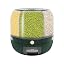 Light Green 1.2kg