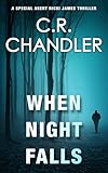 When Night Falls (Special Agent Ricki James Book 11) (English Edition)